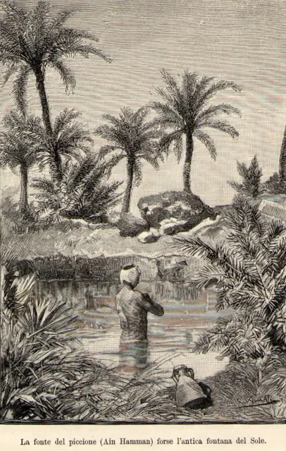 fontana-del-sole