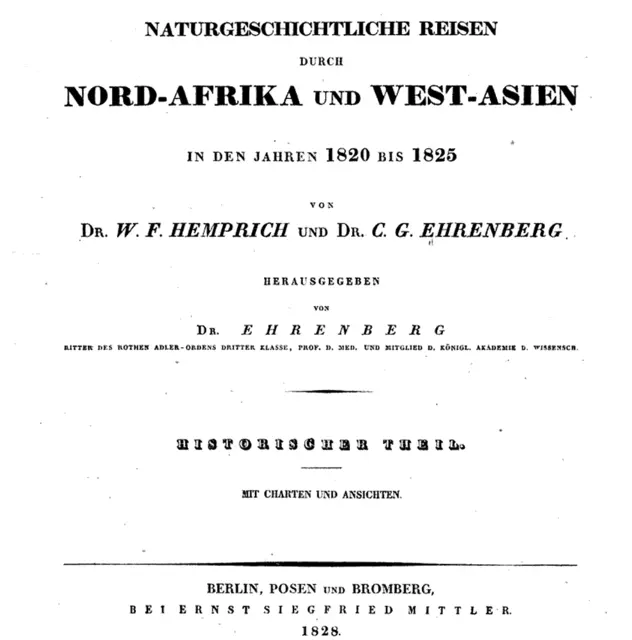 Reisen in Aegypten, Libyen, Nubien und Dongola by Wilhelm Friedrich Hemprich