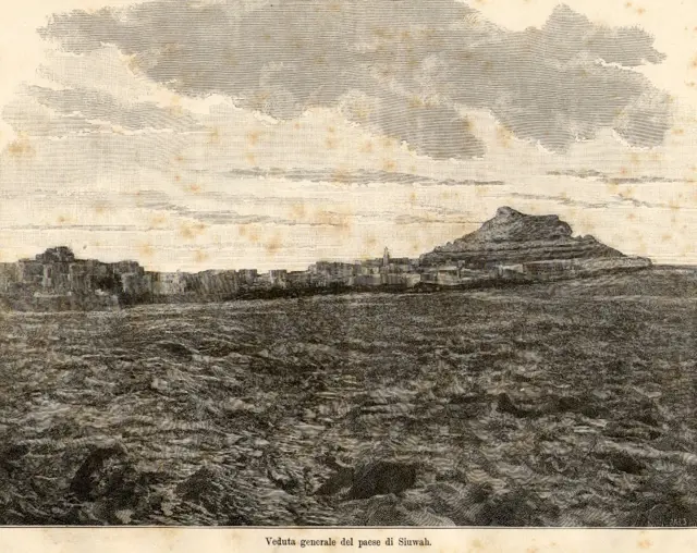 panoramica-siwa (1)