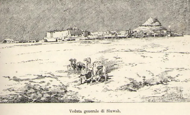 Vue de Siwah