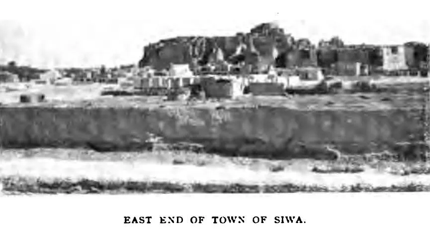 Martin Briggs' book "Through Egypt in war time"