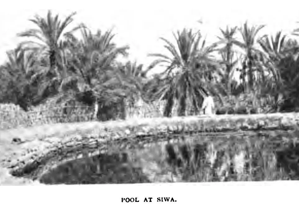 Martin Briggs' book "Through Egypt in war time"