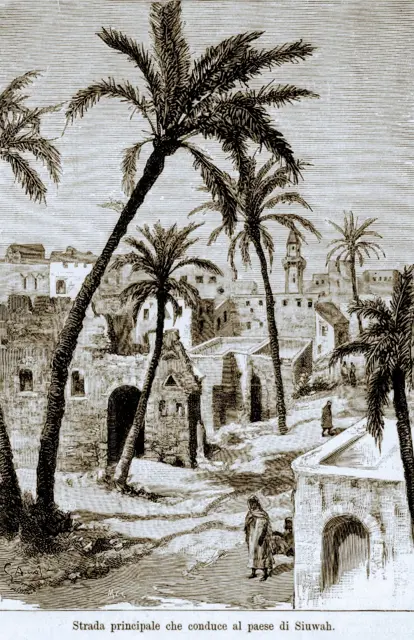 Route principale menant au village de Siwah